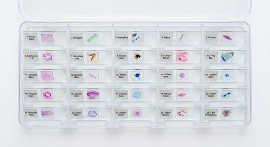 Best prepared microscope slide sets for kids and students
