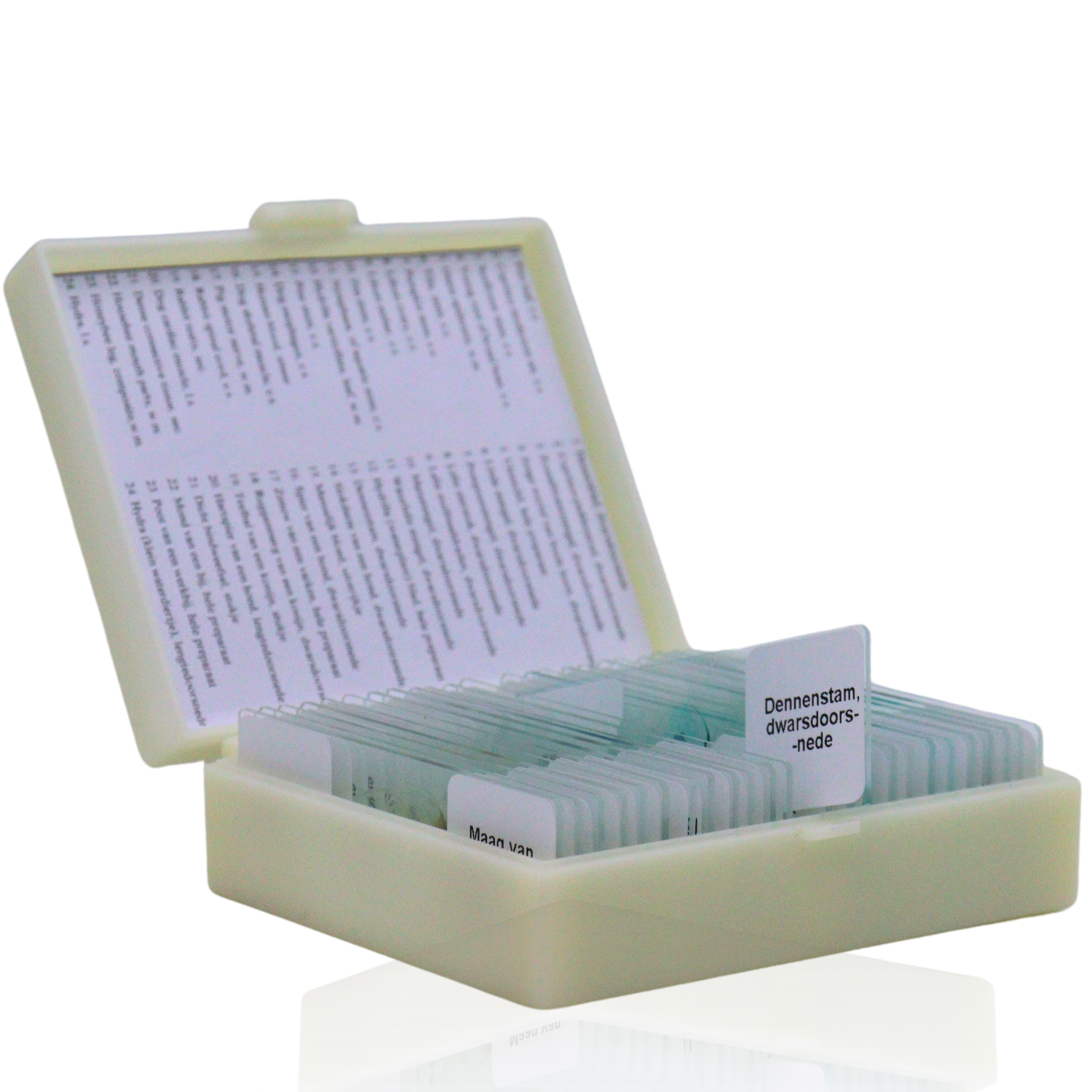 Zoomble Microscope Slide Set – 25 Prepared Specimens