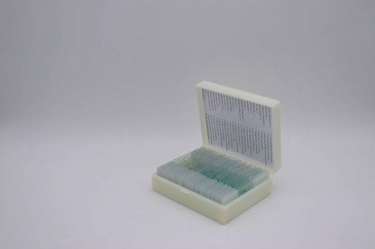 Zoomble Microscope Slide Set – 25 Prepared Specimens