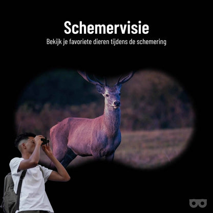 Compact 10x22 Binoculars – The Best Compact Binoculars for Birdwatching & Travel - Zoomble