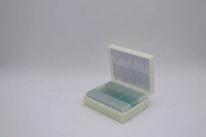 Microscope Slide Set – 25 Prepared Specimens - Zoomble