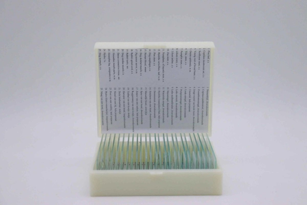 Microscope Slide Set – 25 Prepared Specimens - Zoomble