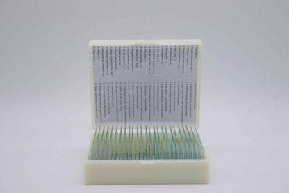 Microscope Slide Set – 25 Prepared Specimens - Zoomble