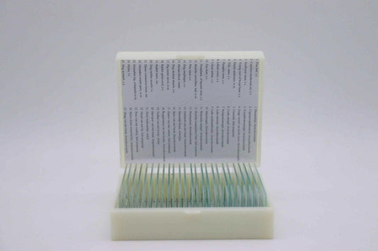 Microscope Slide Set – 25 Prepared Specimens - Zoomble