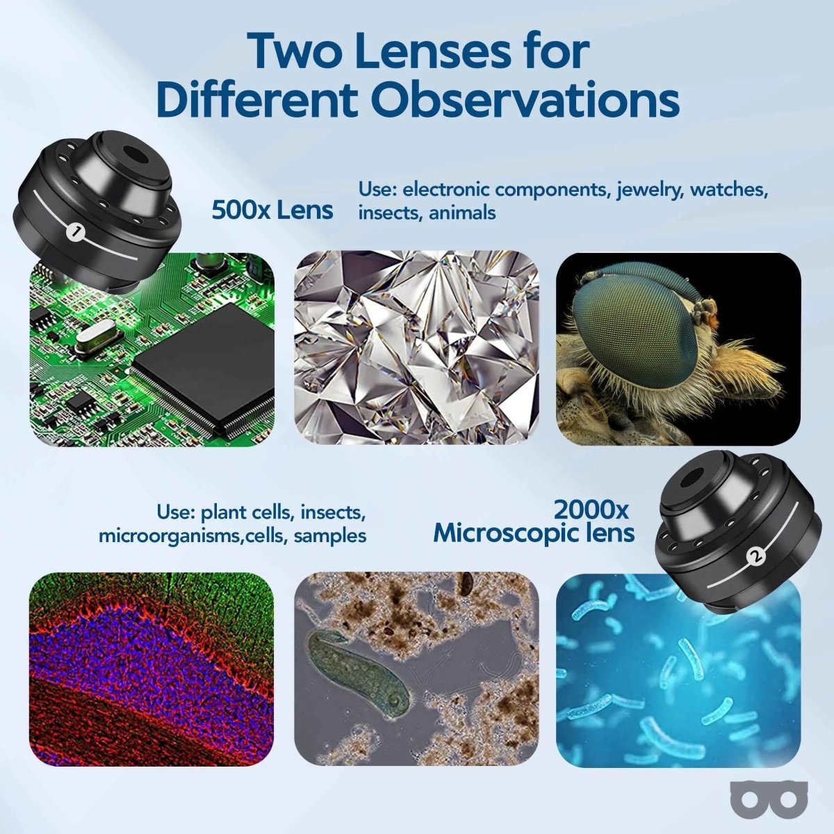 Zoomble Digital Microscope – Explore 2000x Magnification - Zoomble